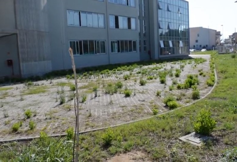 Battipaglia. Scuola S. Penna fra l’ombra diossina e incuria, la preoccupazione delle mamme -VIDEO