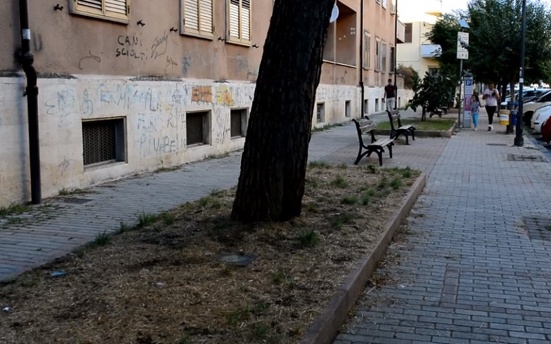 Battipaglia. Decine di deiezioni canine nelle aiuole in Via Buozzi -VIDEO-