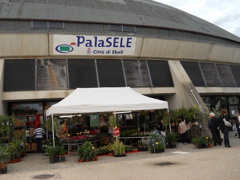 Eboli. Universiadi 2019, finanzia gli interventi al Palasele