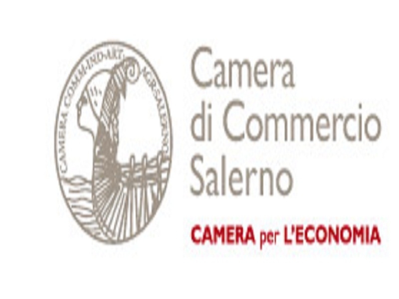 Nati-mortalità delle imprese iscritte alla CCIAA di Salerno