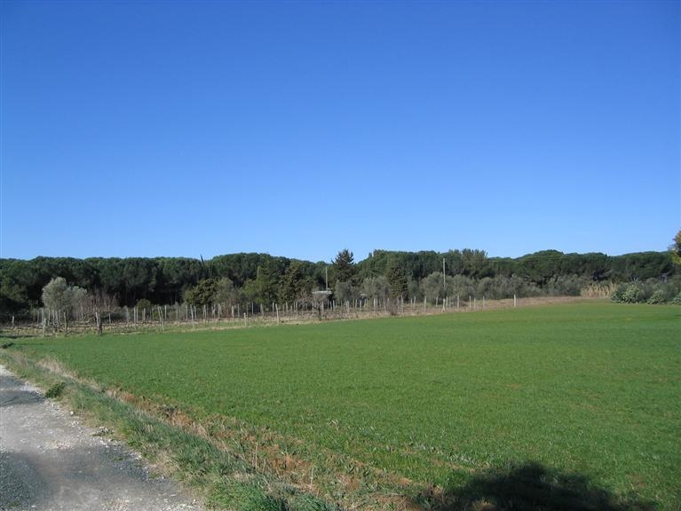 Usucapione. Diventi proprietario di un immobile con il possesso