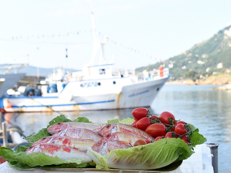 LA TRIGLIA ROSSA DI LICOSA DIVENTA PRODOTTO AGROALIMENTARE TRADIZIONALE