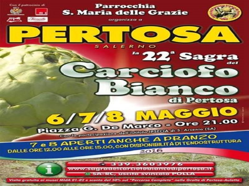 Sagra del Carciofo Bianco di Pertosa, XXII edizione Pertosa, 6-7-8 maggio 2016