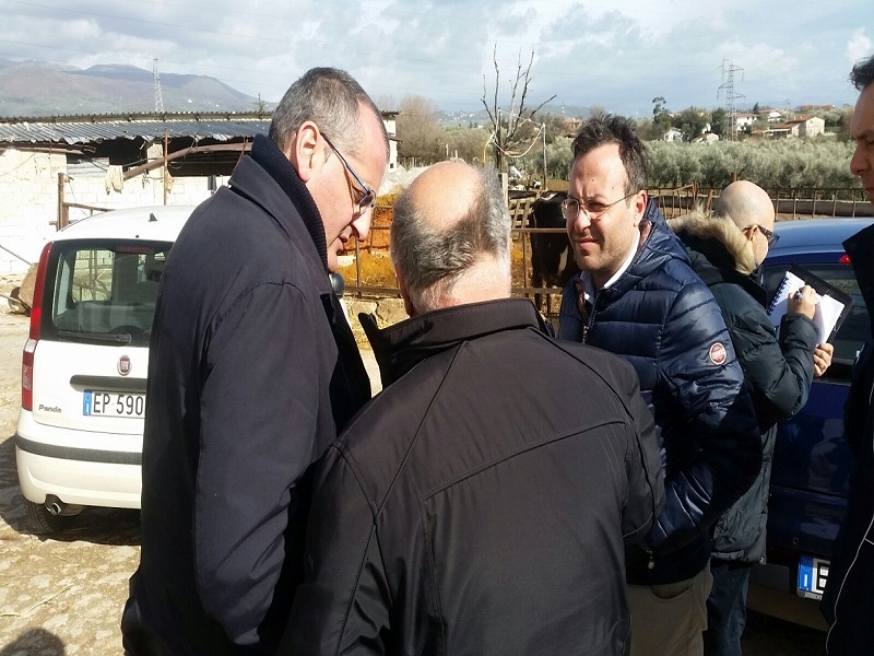 Eboli. Dopo la denuncia di Striscia la Notizia, il sindaco ordina il sequestro dell’allevamento lager