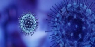 Campania, 1.021 nuovi contagiati al coronavirus su 9.690 tamponi