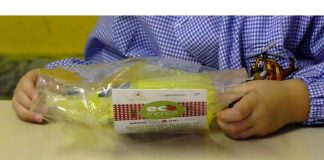 Battipaglia. Mensa scolastica affidata al RTI CIRFOOF S.C per € 523.740,00 e fino al 28 febbraio 2022