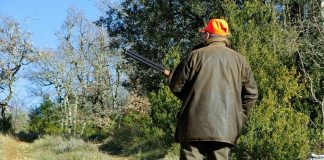 Castelcivita. Cacciatore ferito durante una battuta di caccia al cinghiale