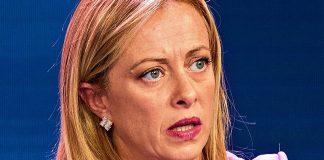 Giorgia Meloni apostrofata Vacca e Scrofa da prof. universitario