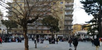 Battipaglia. Taglio alberi in Piazza Amendola, Civica Mente chiede all’Amministrazione di rendere pubbliche le perizie tecniche