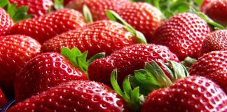 Battipaglia. Del Grosso: la fragola è un prodotto sicuro e di alta qualità (Video)