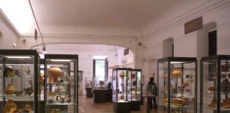 Provincia di Salerno. Musei: disposta l’apertura straordinaria in occasione del 2 giugno