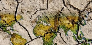 17 giugno: Giornata Mondiale per la lotta alla Desertificazione e alla Siccità