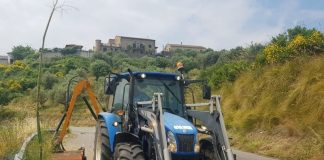 “Via del Mare” SR 267: continuano i lavori di pulizia e taglio erba