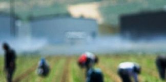 Ecco il progetto “Demetra”: tre ambulatori per l’assistenza sanitaria ai braccianti della Piana