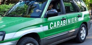 Smaltimento illecito di rifiuti: denunciata una ditta a San Gregorio Magno