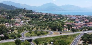 Agropoli. Cinghiale invade la Cilentana e provoca un incidente cilentana