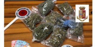 Capaccio Scalo. Serra di marijuana in casa: arrestato 36enne