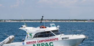 Battipaglia. Arpac: “Acque del mare in località Lido Lago non balneabili”. Gli escherichia coli superano il limite di legge