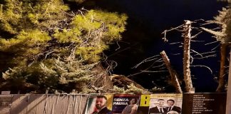 Battipaglia. Scuola Gatto, nel plesso della materna cade un grosso ramo di albero