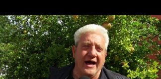 Battipaglia. L’intervista. Giuseppe Landi: i prodotti della IV gamma rilanciano il comparto agricolo (video)