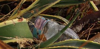 Battipaglia. Degrado e sporcizia nei pressi dello stadio Luigi Pastena (video)