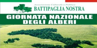 Battipaglia Nostra. Un albero per ogni nato, il 27 novembre la consegna di 10 alberi di Pino Italico ai genitori dei neonati