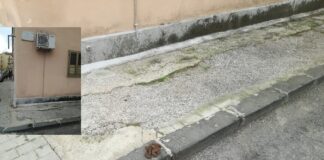 Battipaglia. Feci di cani in via Fratelli Cairoli, protestano i residenti