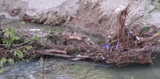 Battipaglia. Fiume Tusciano, grosso albero ostruisce da 10 giorni il corso d’acqua. Nessuno interviene (video)