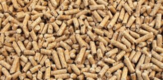 Eboli. Pellet con marchi contraffatti, la Guardia di Finanza sequestra merce per il valore di 400mila euro