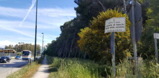 Altri 21 milioni di euro per la pista ciclabile, ma il Codacons lancia l’allarme litoranea pista ciclabile del Sole