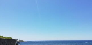 Punta Licosa. Prevenzione danni e incendi: al via i lavori per preservare la bellezza del territorio