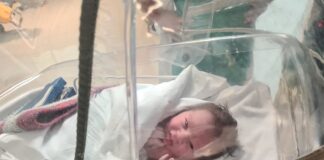 Battipaglia. Fiocco azzurro in casa Vece: è nato Andrea andrea vece