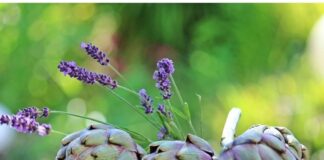 Paestum. Torna ad aprile la Festa del Carciofo: tante novità per la tredicesima edizione