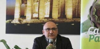 Capaccio. Parte la campagna promozionale 2022 del Carciofo di Paestum IGP