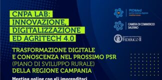 Agritech 4.0 e nuove misure del PSR della Regione Campania, domani il meeting online con gli imprenditori del settore agroalimentare