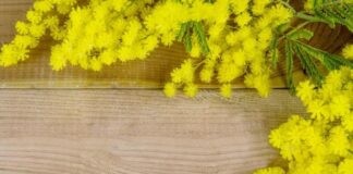 Festa della donna. A San Marzano sul Sarno il convegno “La donna nella legalità”