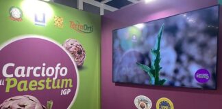 Paestum. Il Carciofo IGP è il re del Village Fruit Logistica di Berlino