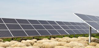 Battipaglia – Eboli. Società milanese realizzerà un Pratopascolo fotovoltaivo della potenza di 9,55 MWp