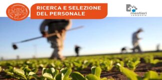 Battipaglia. Contrasto al caporalato, il 7 e il 9 giugno Confragricoltura seleziona 15 migranti