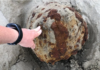 Battipaglia. Allarme ordigno bellico, disposto il divieto assoluto di avvicinamento ordigno bellico capaccio paestum scaldabagno