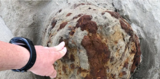 Battipaglia. Allarme ordigno bellico, disposto il divieto assoluto di avvicinamento ordigno bellico capaccio paestum scaldabagno