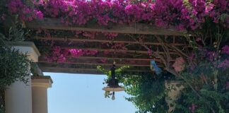 Procida. Lorenza Rocco Carbone presenta: “il mondo salvato dai ragazzini – Elsa, la vita come un romanzo”