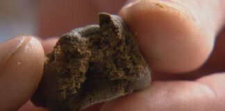 Battipaglia. Spaccio di droga, arrestati due quindicenni