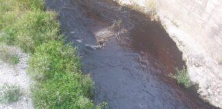 Battipaglia. Scarichi abusivi nel Tusciano, polemiche tra associazioni e Amministrazione