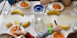 Battipaglia. Mensa scolastica comunale, 7 giorni per richiedere la restituzione di 0,11 € per ogni pasto fruito
