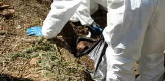 Eboli. Esumazioni, il Comune pubblicherà avviso sull’albo pretorio e sulle tombe interessate