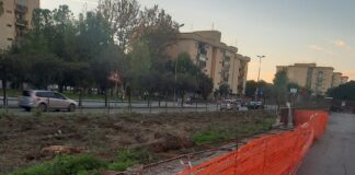 Taglio alberi. Parco Impegno Sociale, pronto a denunciare il Comune dopo i danni al muro di cinta (vedi foto)