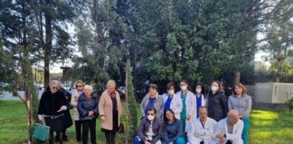 Battipaglia. “Alberi Custodi”, piantumato un cipresso toscano nei giardini dell’ospedale
