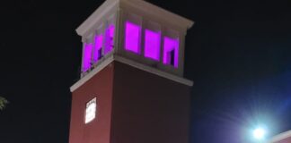 Battipaglia. Crisi politica, l’opposizione chiede chiarimenti alla sindaca. Lunedì discussione in Consiglio comunale