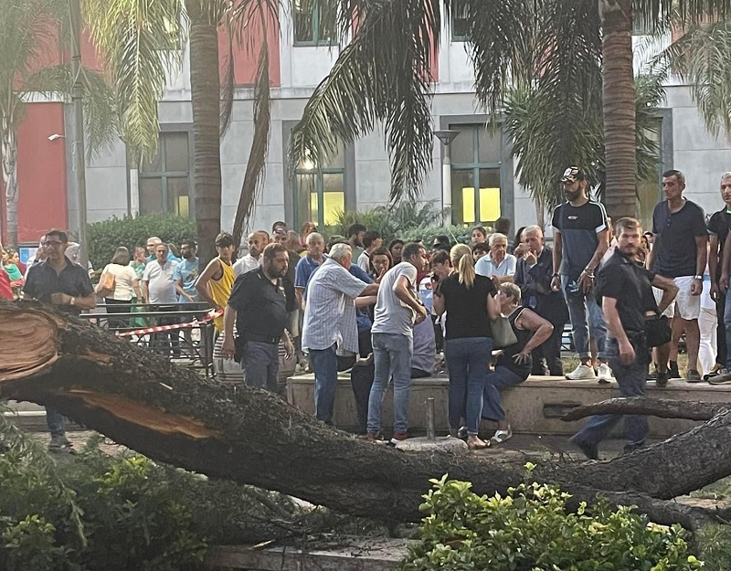 Battipaglia. Paura ieri sera nel parcheggio antistante il liceo Medi per la caduta di un grosso ramo d'albero